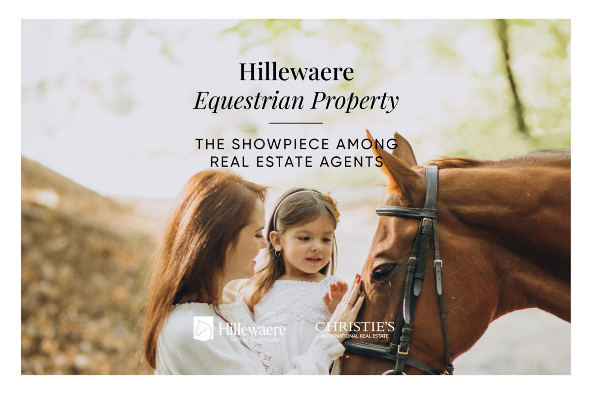 Hillewaere Equestrian Property: the showpiece among real estate agents