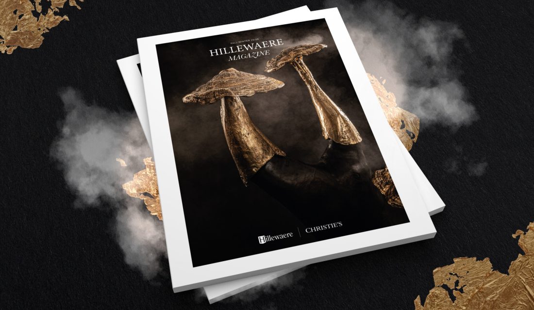 Visual-Hillmag-FallWinter25-WEB