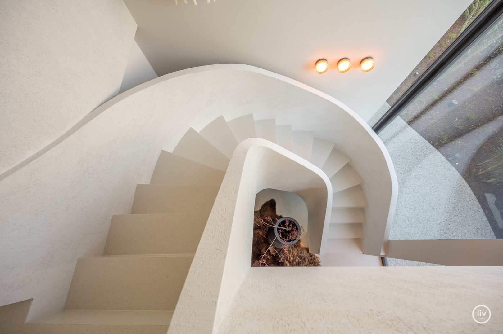 Image description