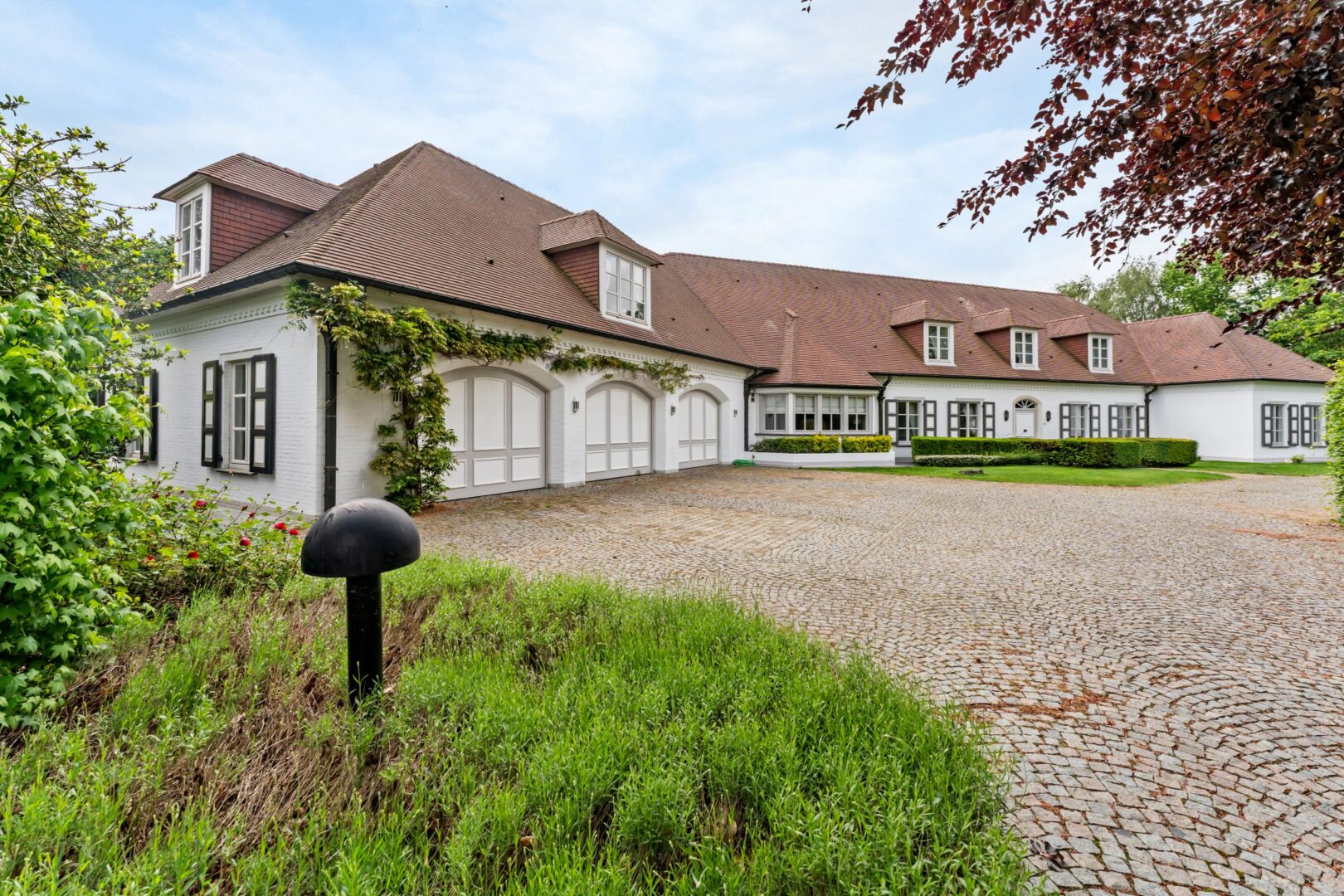 Image description